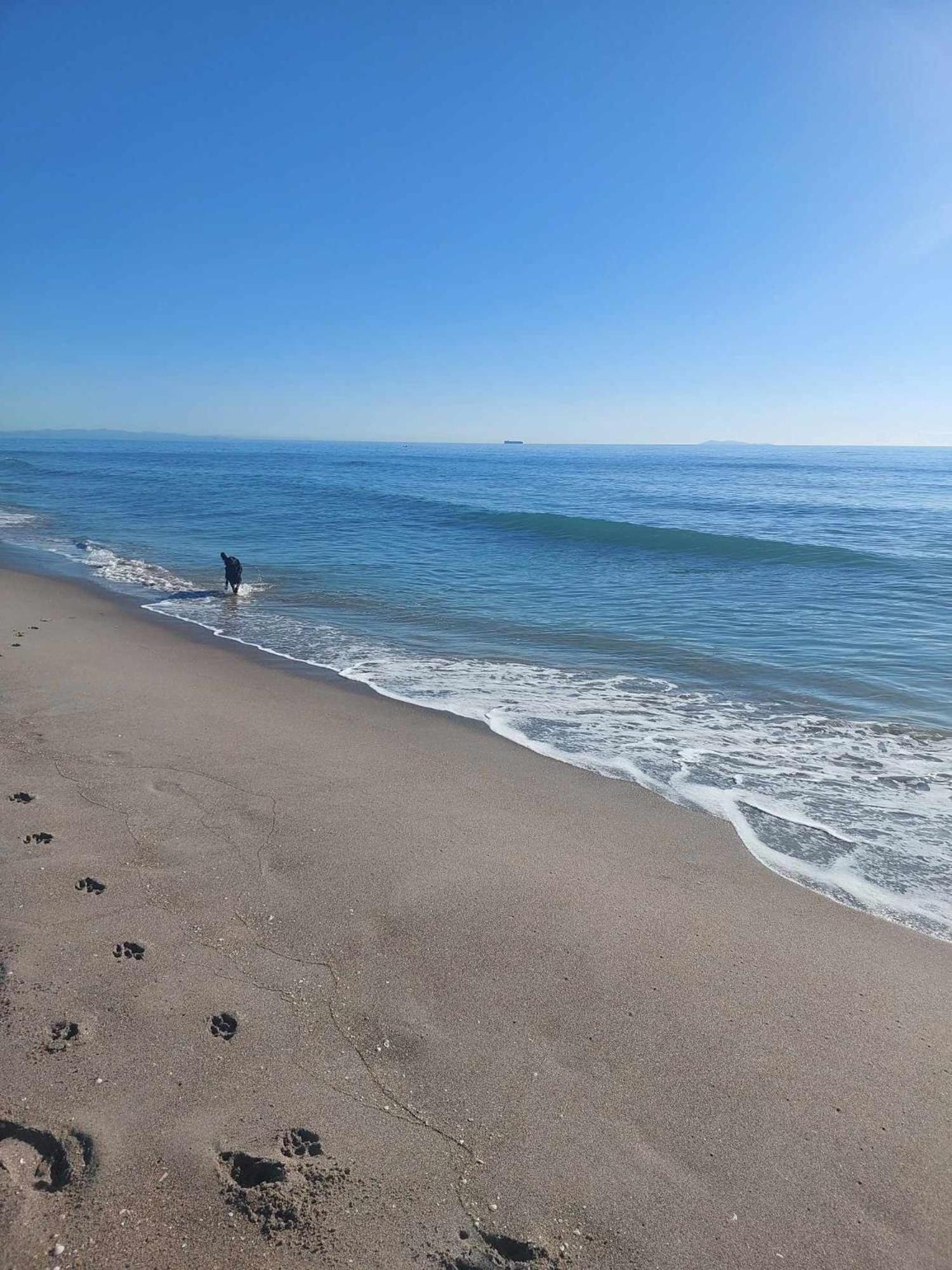 Sandbar Views Beachside Retreat - 100M From The Beach & Pets Welcome Papamoa Eksteriør bilde